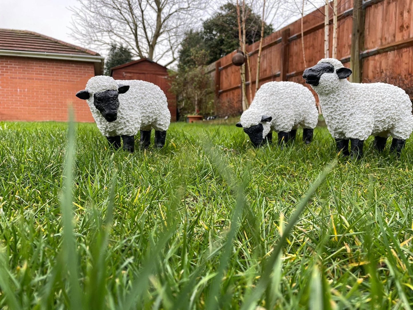 Fuzzy Sheep - Set of 3 - Backyard Bliss