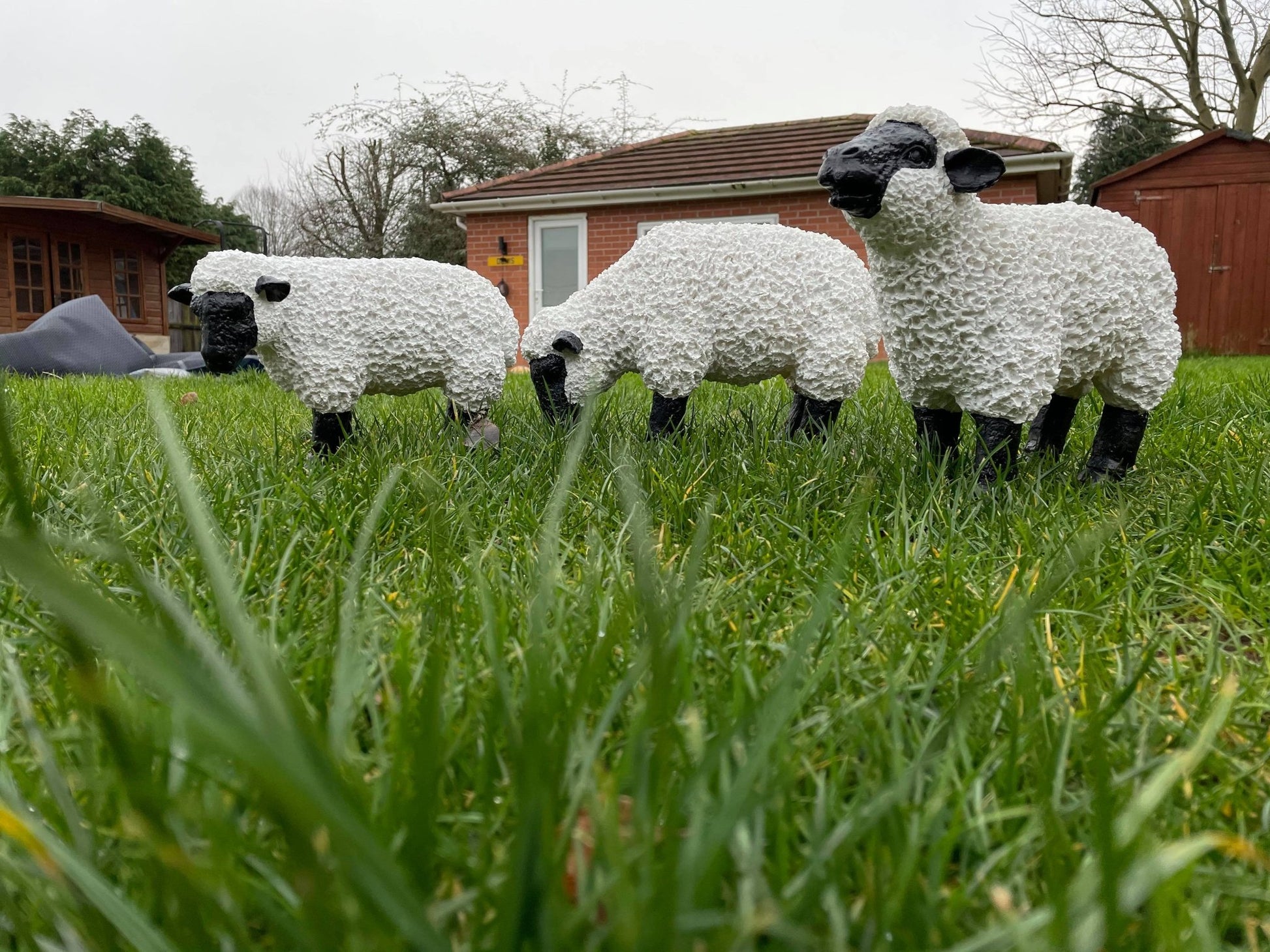 Fuzzy Sheep - Set of 3 - Backyard Bliss
