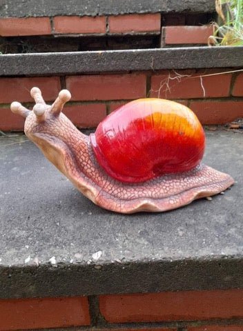 Giant Snail - Backyard Bliss