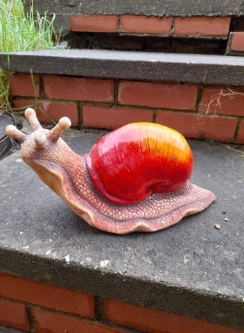 Giant Snail - Backyard Bliss