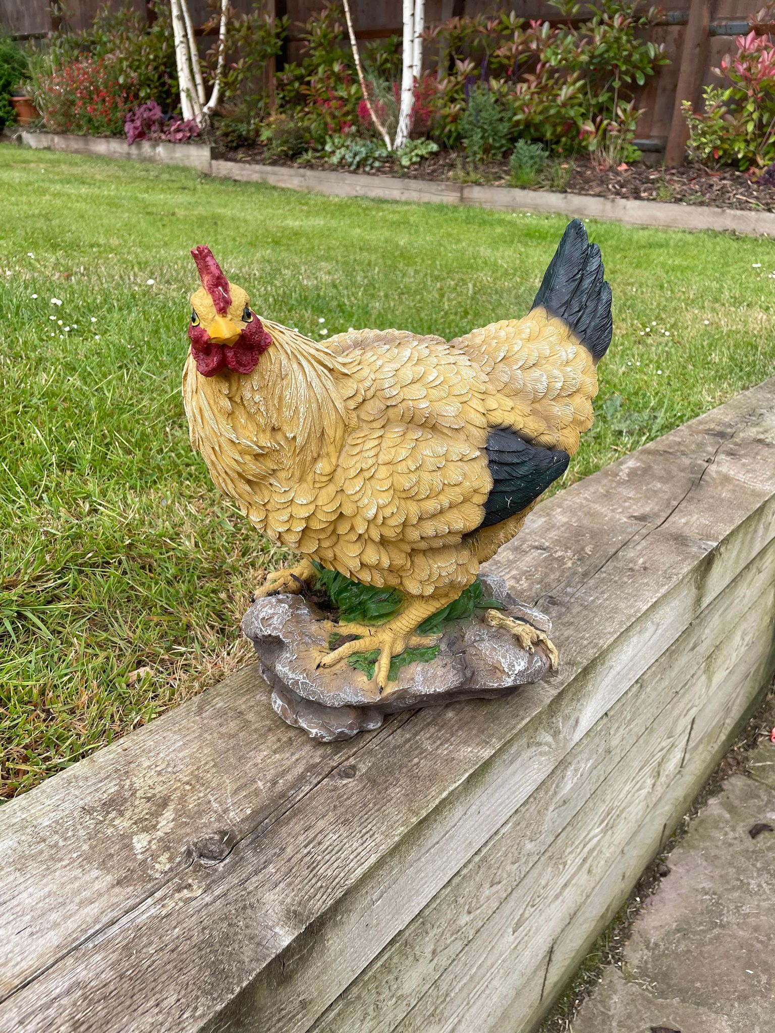 Golden Hen - Backyard Bliss