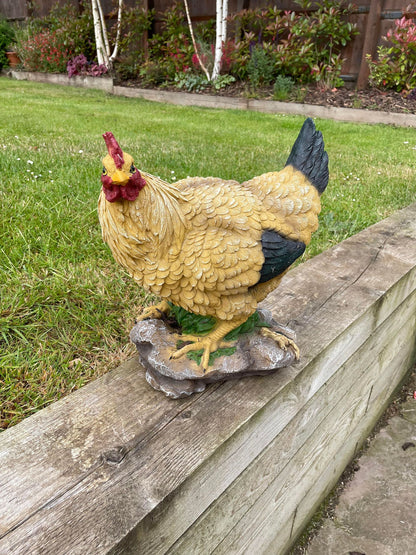 Golden Hen - Backyard Bliss