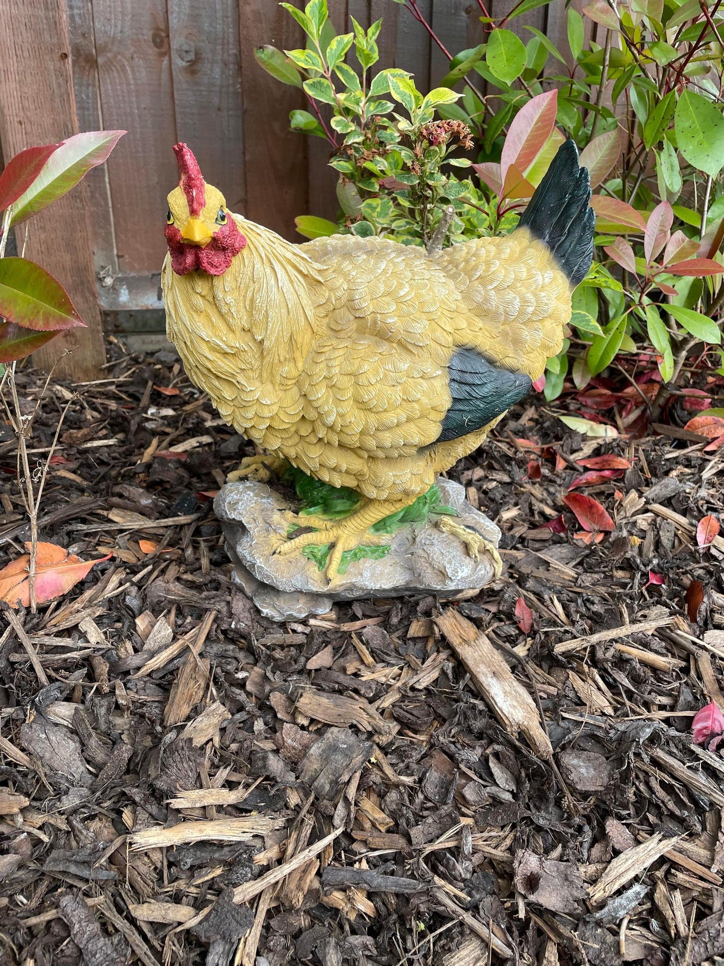 Golden Hen - Backyard Bliss