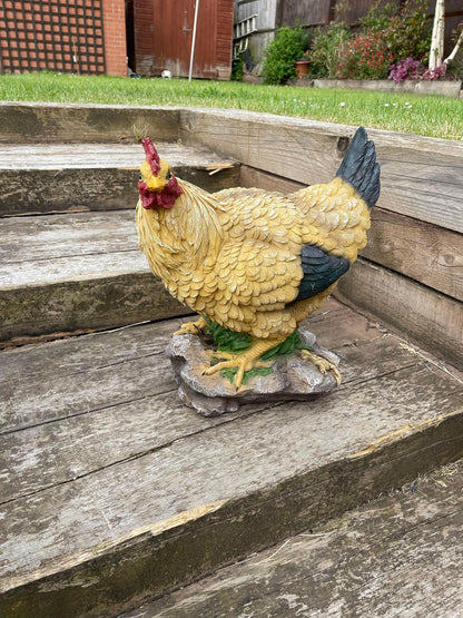 Golden Hen - Backyard Bliss