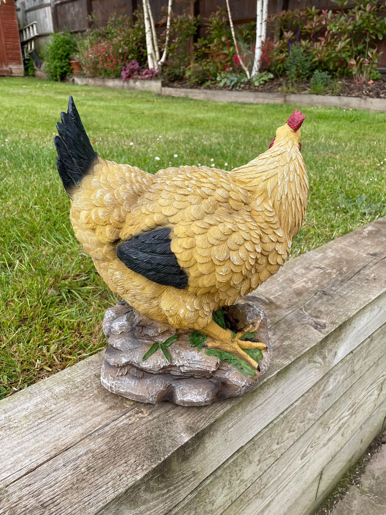 Golden Hen - Backyard Bliss