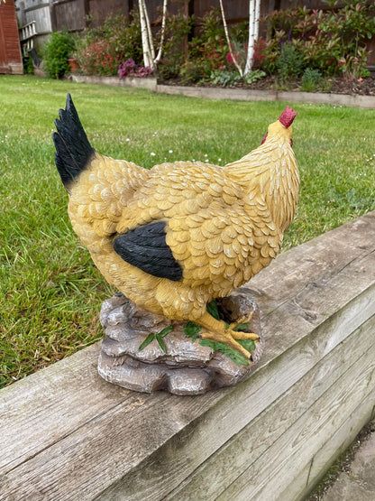 Golden Hen - Backyard Bliss