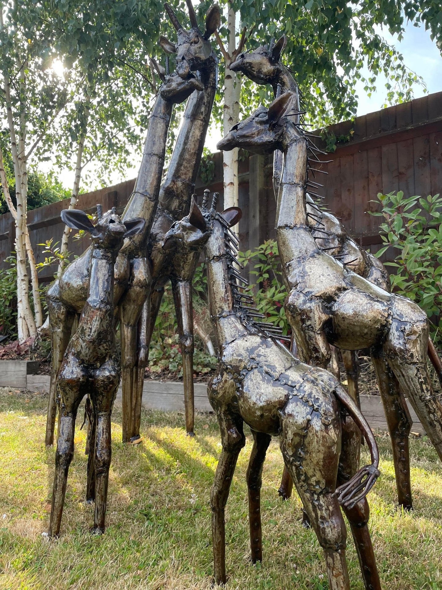Gorgeous Giraffe Family Metal Set - Backyard Bliss