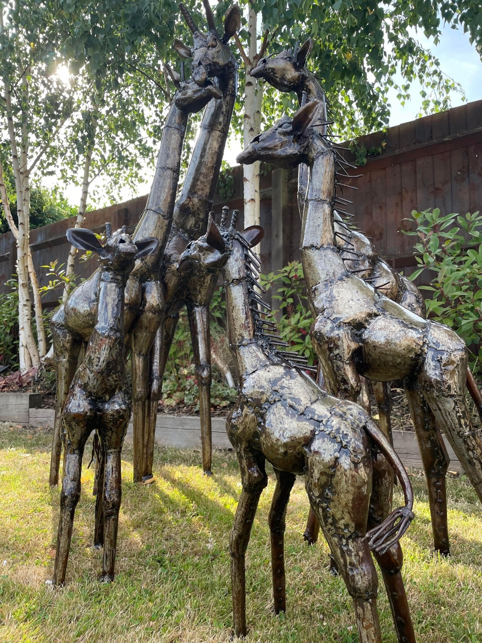 Gorgeous Giraffe Family Metal Set - Backyard Bliss