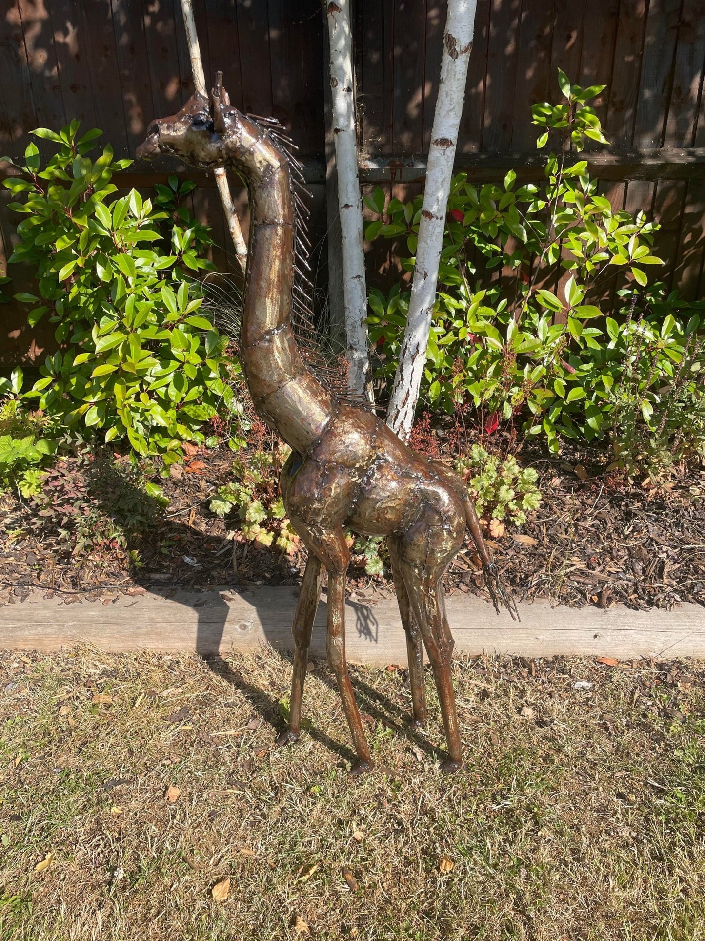 Gorgeous Giraffe Family Metal Set - Backyard Bliss