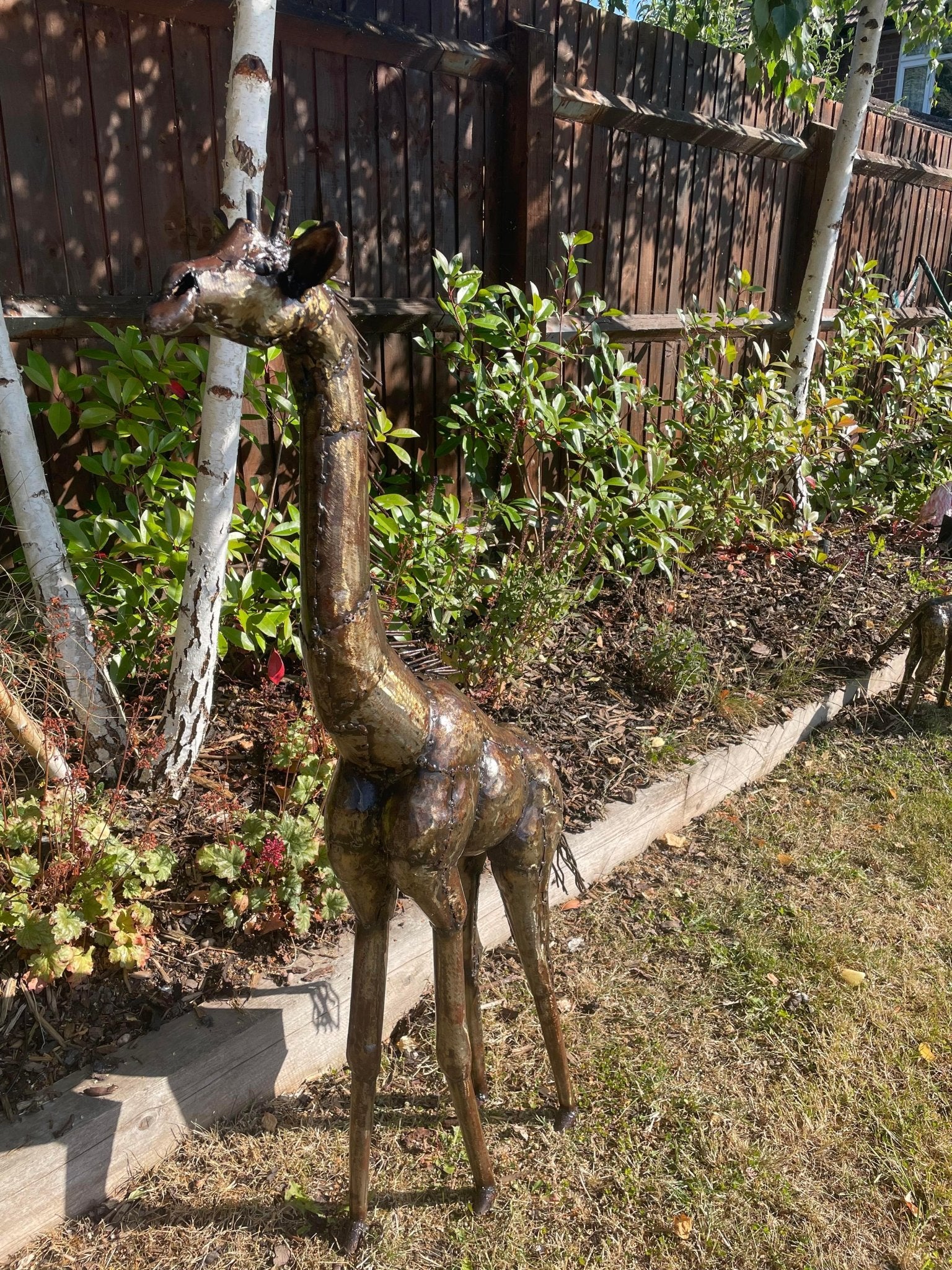 Gorgeous Giraffe Family Metal Set - Backyard Bliss