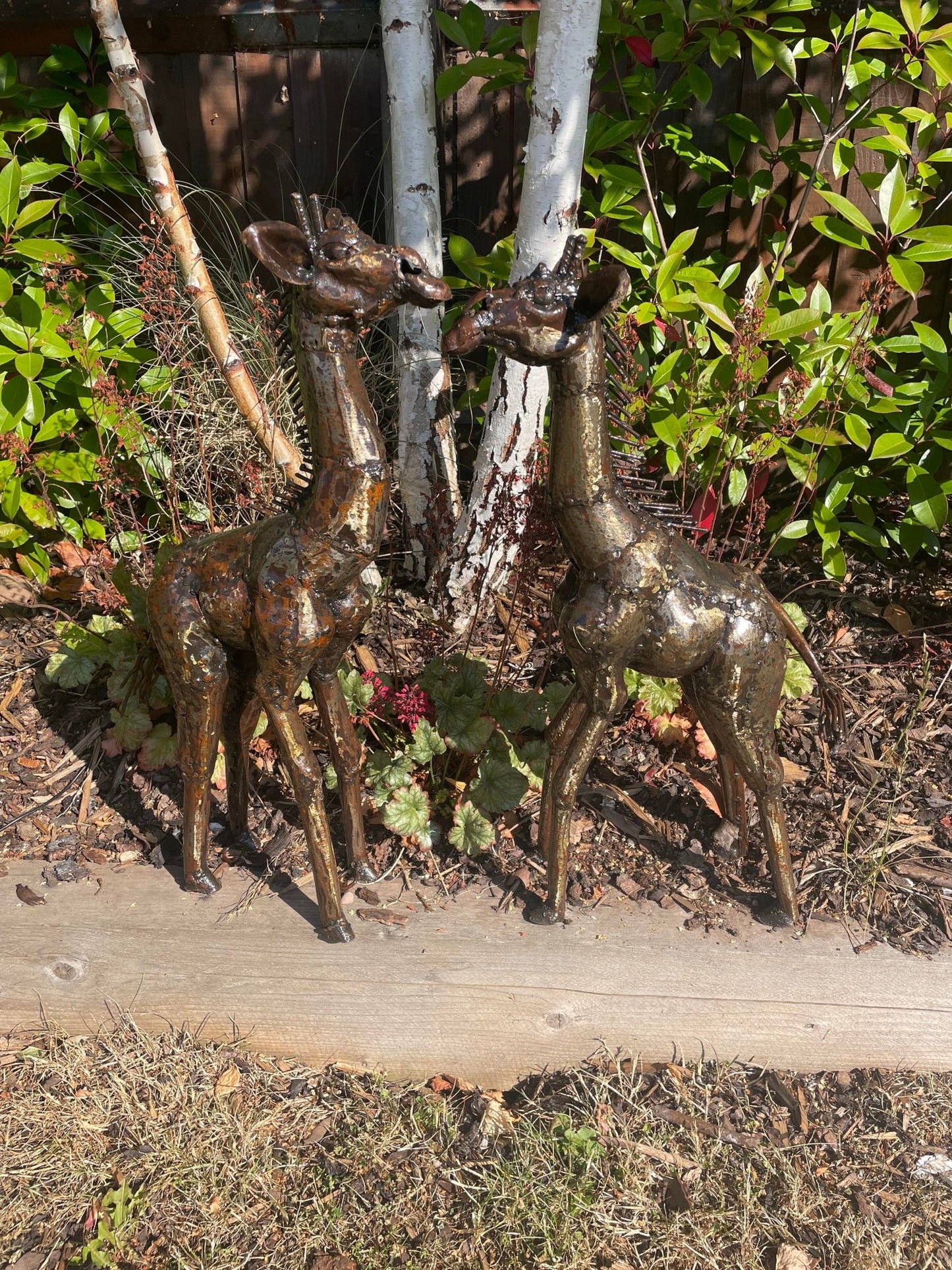 Gorgeous Giraffe Family Metal Set - Backyard Bliss