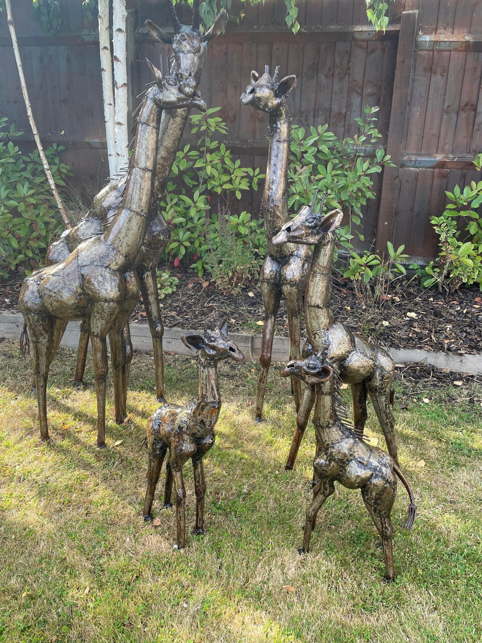 Gorgeous Giraffe Family Metal Set - Backyard Bliss