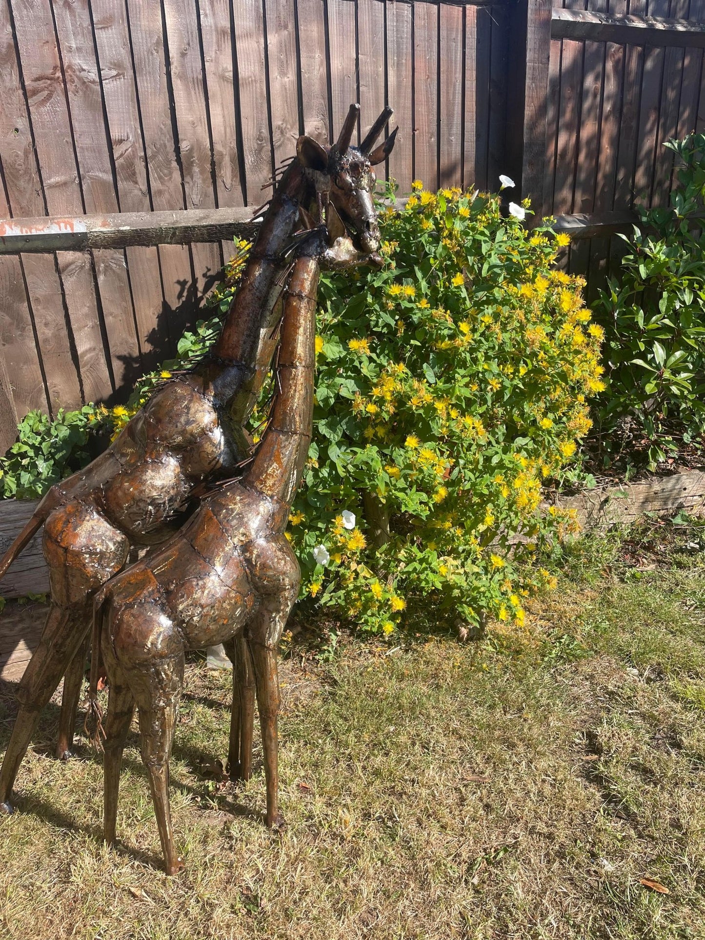 Gorgeous Giraffe Family Metal Set - Backyard Bliss