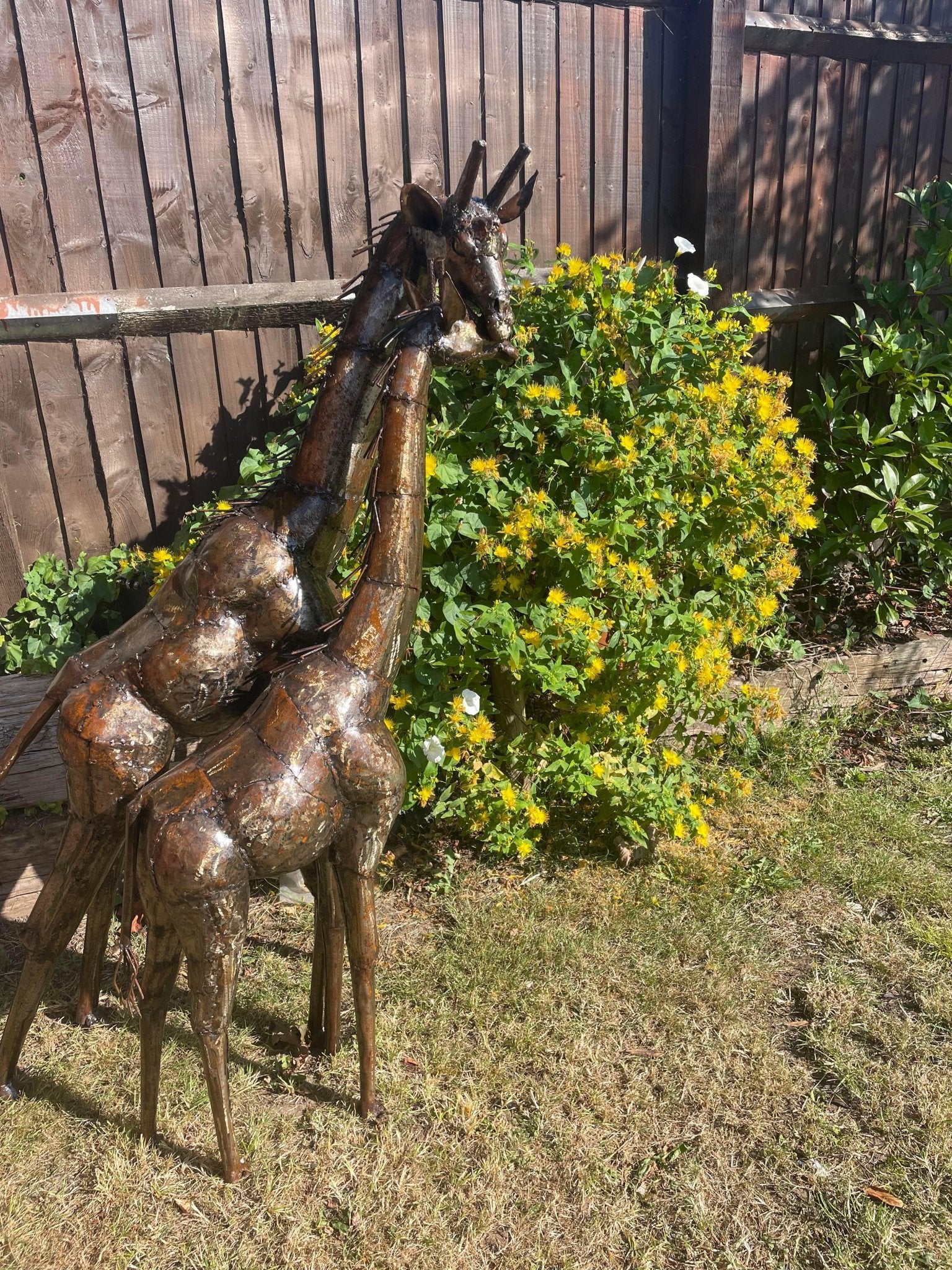 Gorgeous Giraffe Family Metal Set - Backyard Bliss