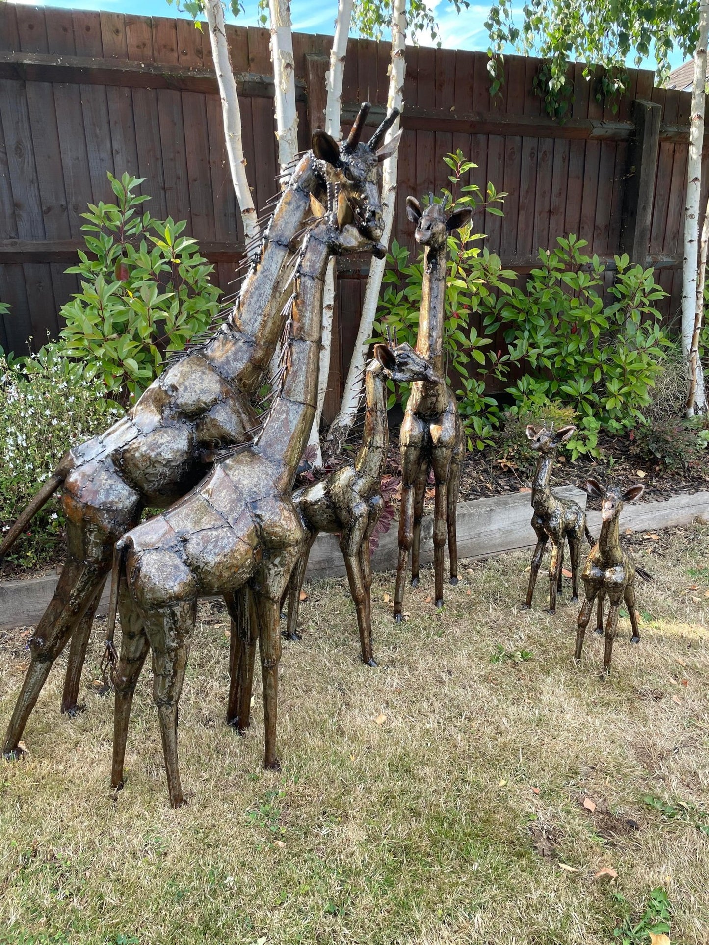 Gorgeous Giraffe Family Metal Set - Backyard Bliss