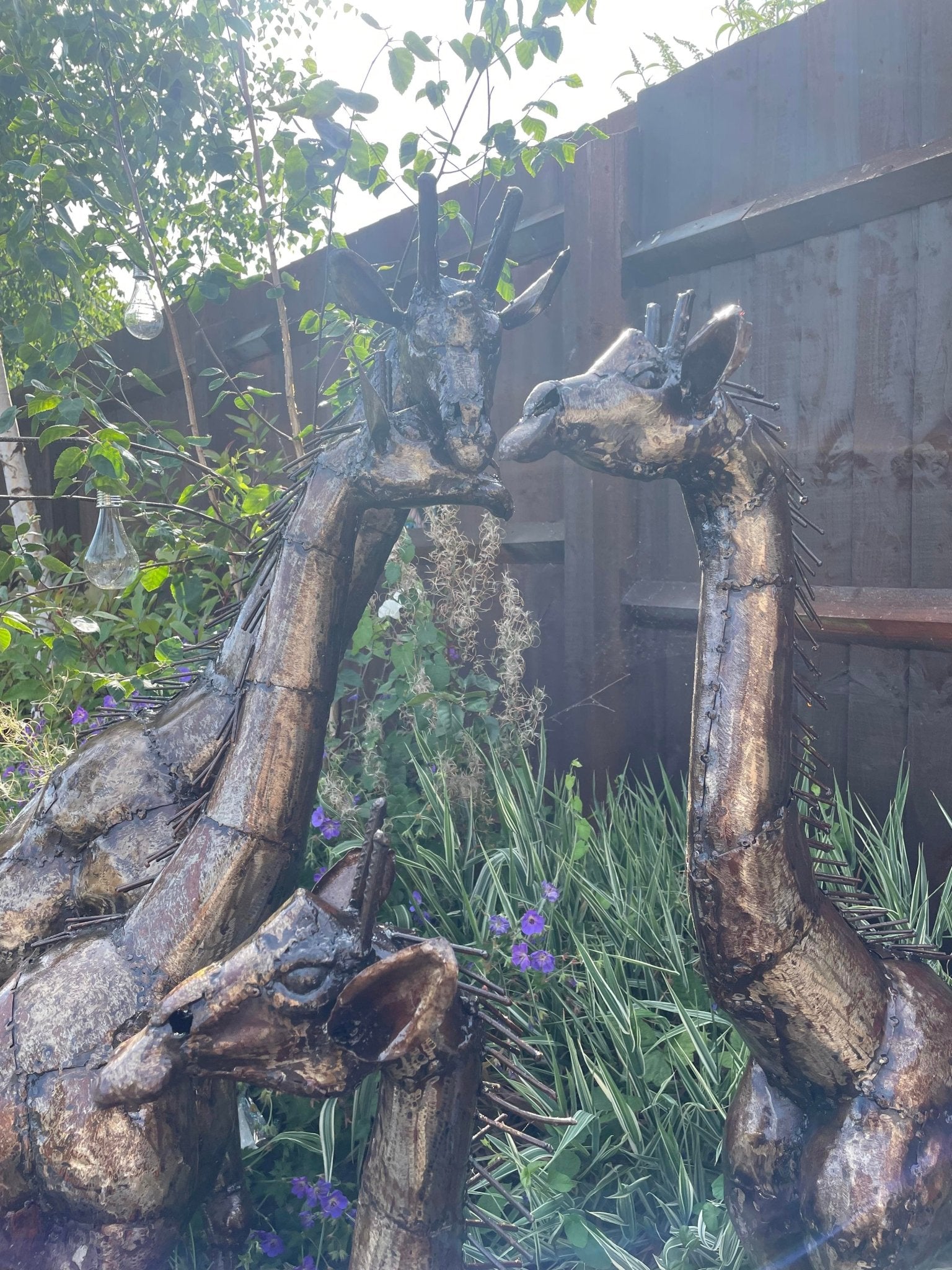 Gorgeous Giraffe Family Metal Set - Backyard Bliss