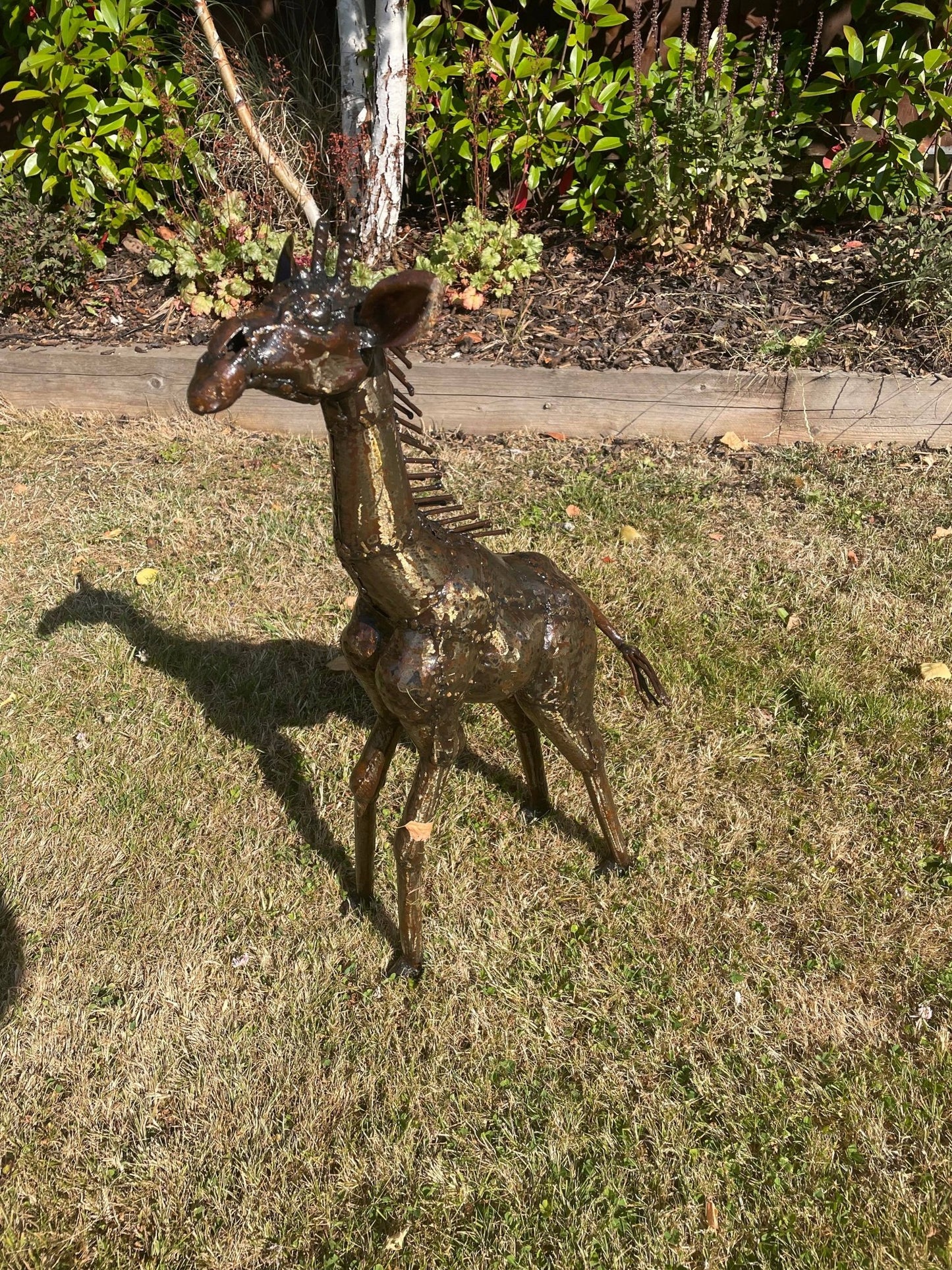 Gorgeous Giraffe Family Metal Set - Backyard Bliss