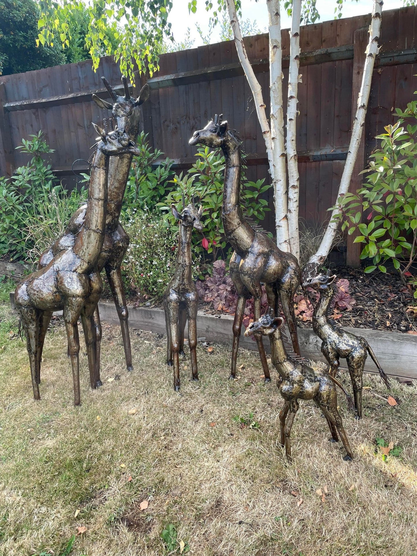 Gorgeous Giraffe Family Metal Set - Backyard Bliss