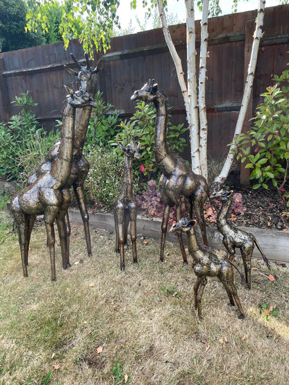Gorgeous Giraffe Family Metal Set - Backyard Bliss
