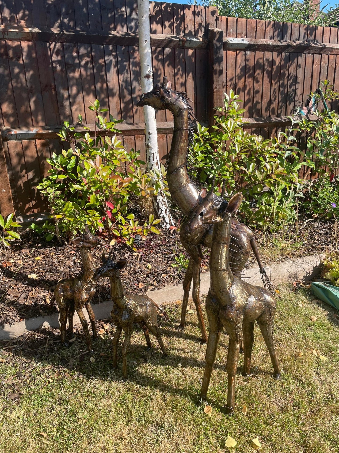 Gorgeous Giraffe Family Metal Set - Backyard Bliss