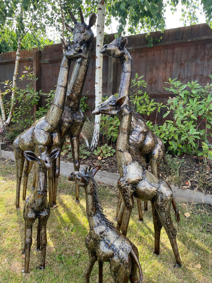 Gorgeous Giraffe Family Metal Set - Backyard Bliss