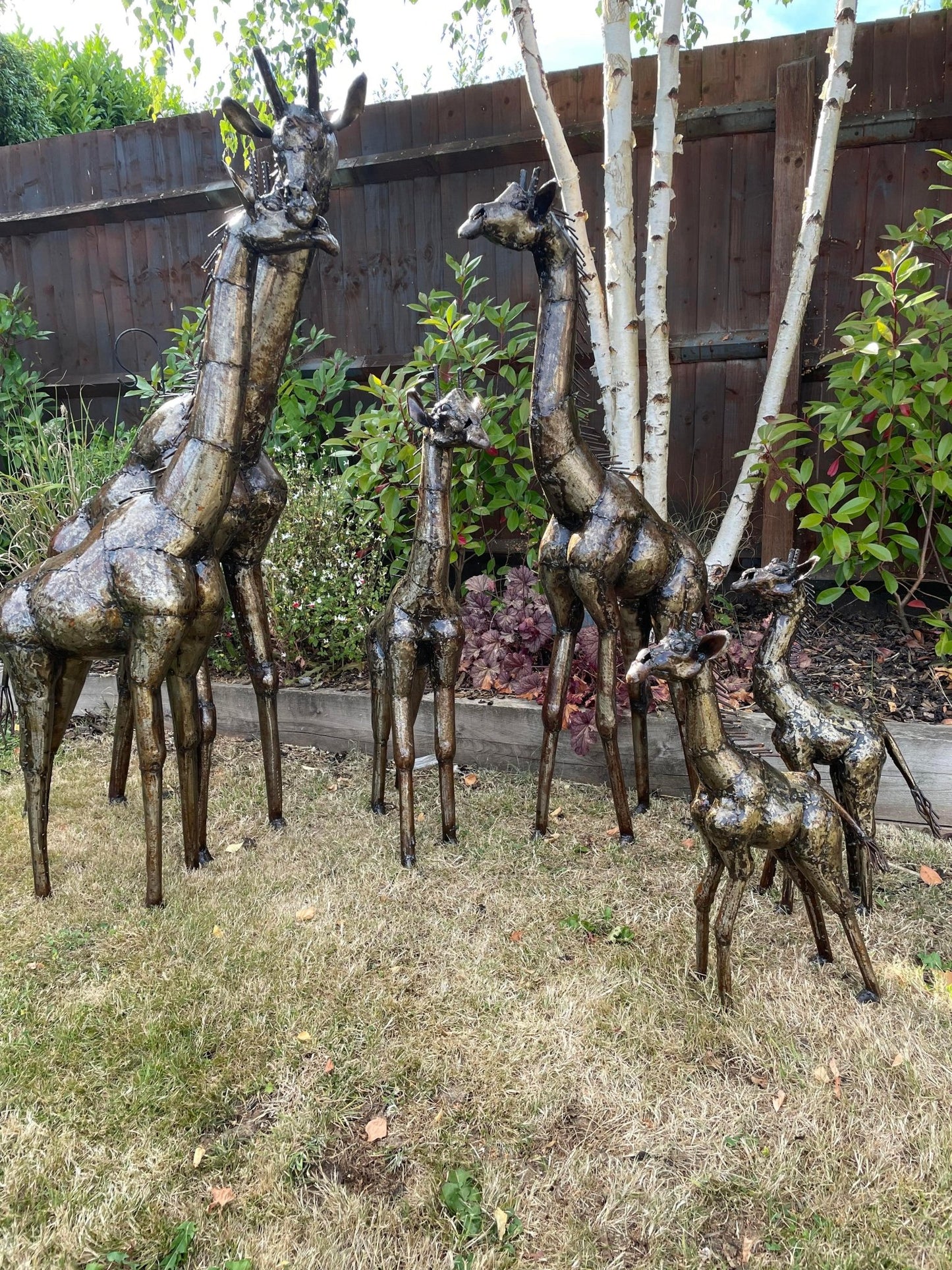 Gorgeous Giraffe Family Metal Set - Backyard Bliss