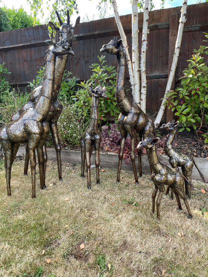 Gorgeous Giraffe Family Metal Set - Backyard Bliss