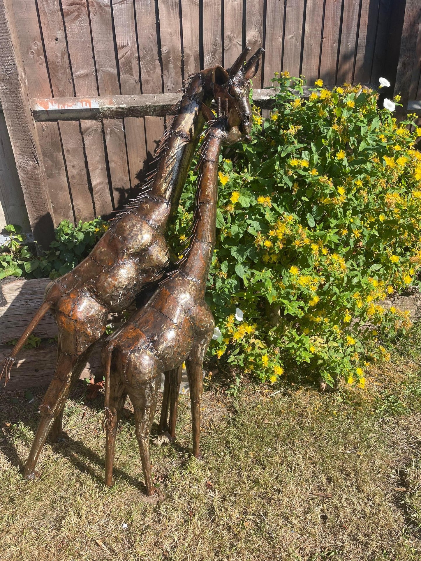 Gorgeous Giraffe Family Metal Set - Backyard Bliss