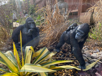 Gorilla & Gorilla w/Cub - Backyard Bliss