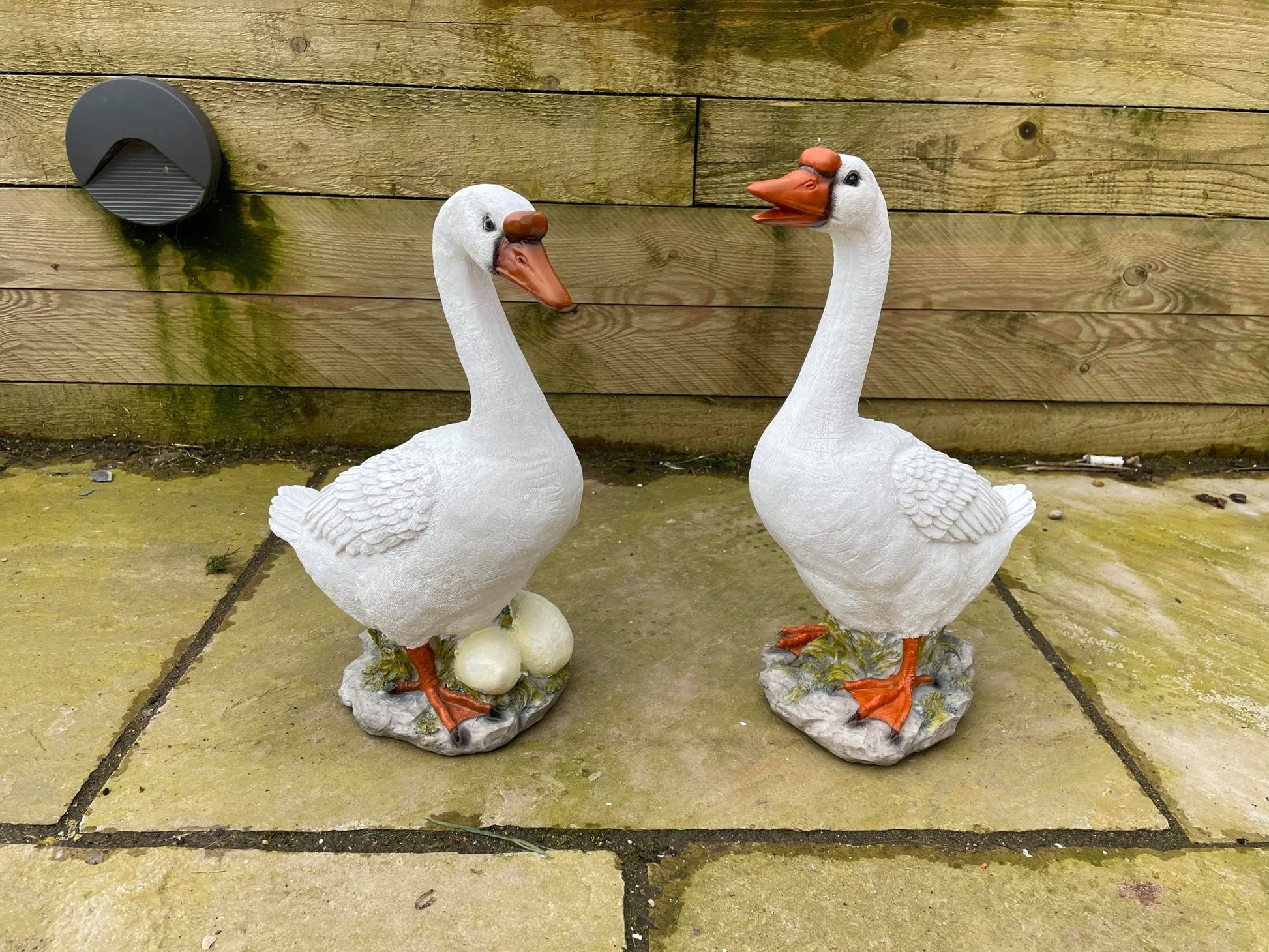 Graceful Geese Pair - Backyard Bliss