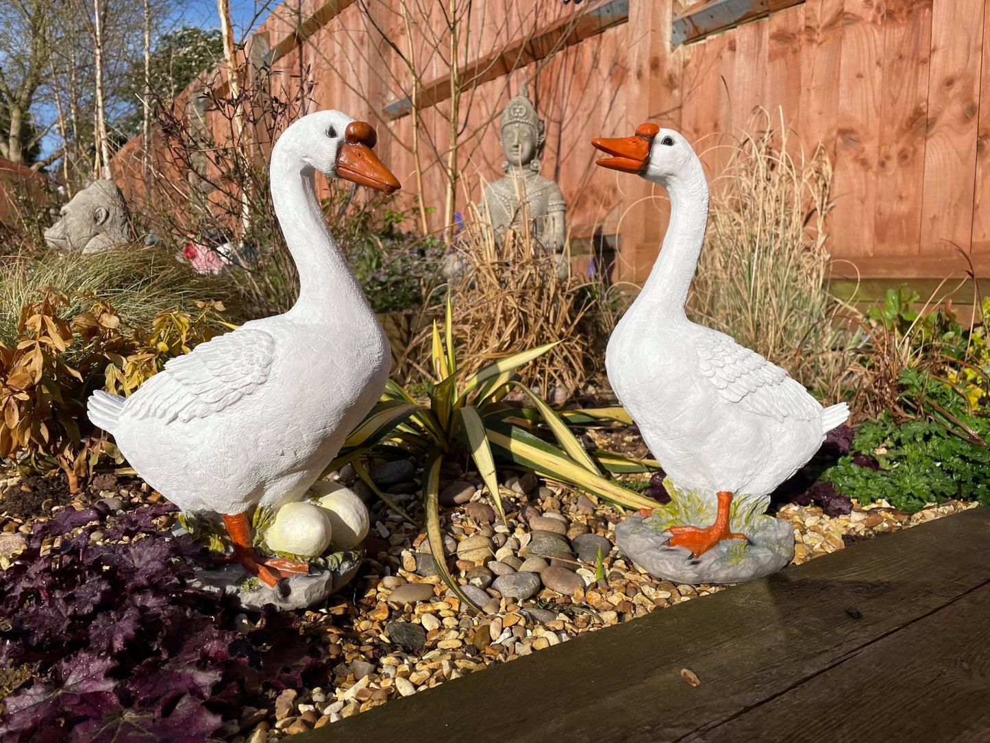 Graceful Geese Pair - Backyard Bliss