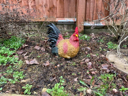 Hennie Hen - Backyard Bliss