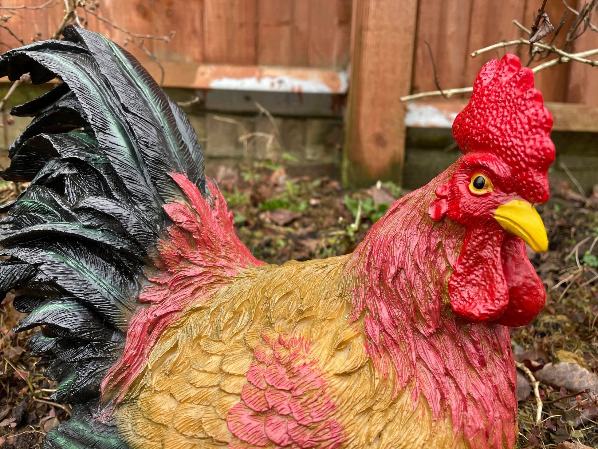 Hennie Hen - Backyard Bliss