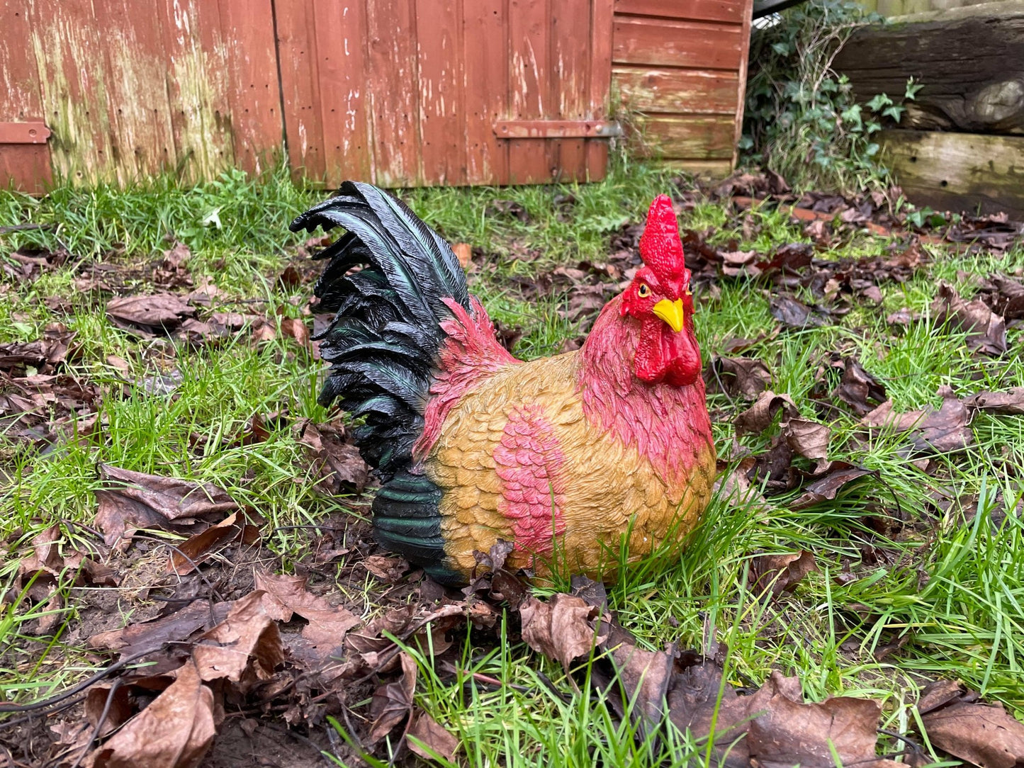 Hennie Hen - Backyard Bliss