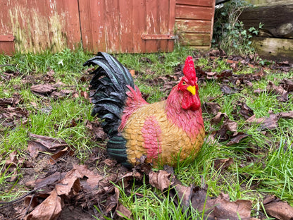 Hennie Hen - Backyard Bliss