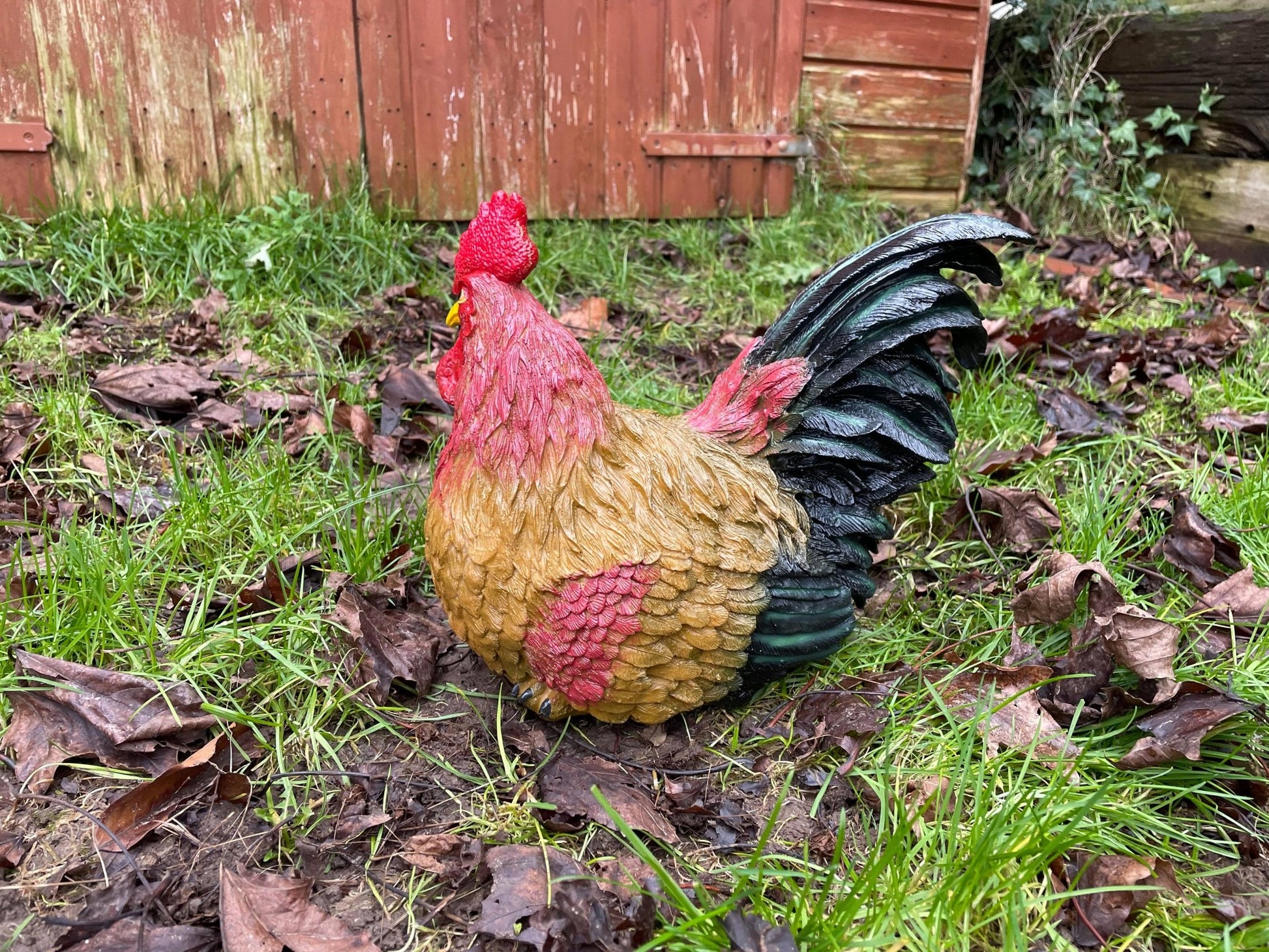 Hennie Hen - Backyard Bliss