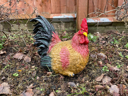 Hennie Hen - Backyard Bliss