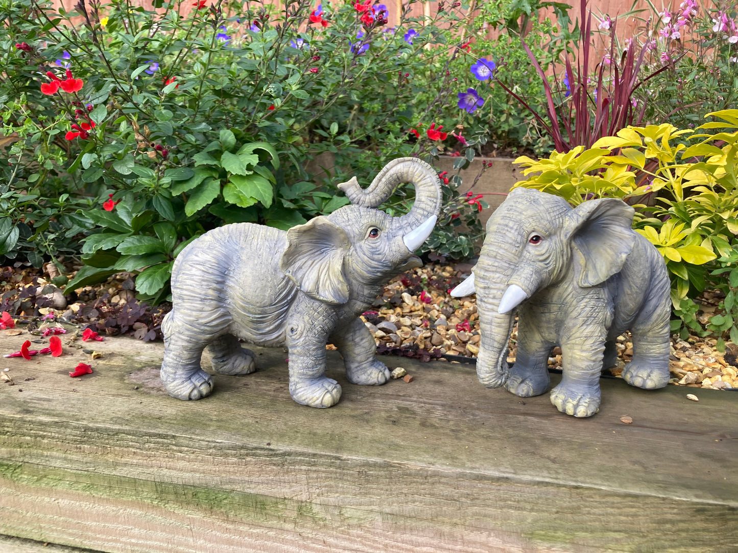 Mini Elephant Set