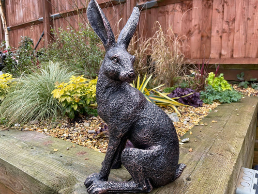 Large March Hare - Backyard Bliss