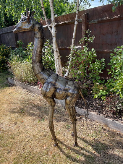 Large Metal Giraffe - 5ft - Backyard Bliss