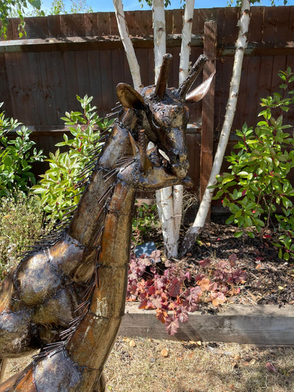 Large Metal Preening Giraffe's - Backyard Bliss