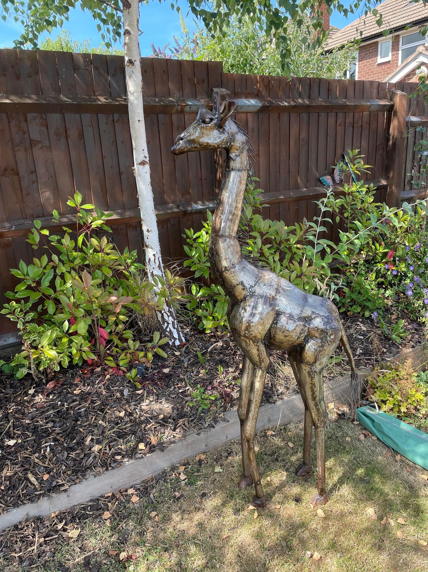 Large Preening Giraffes + 5ft Giraffe - Backyard Bliss