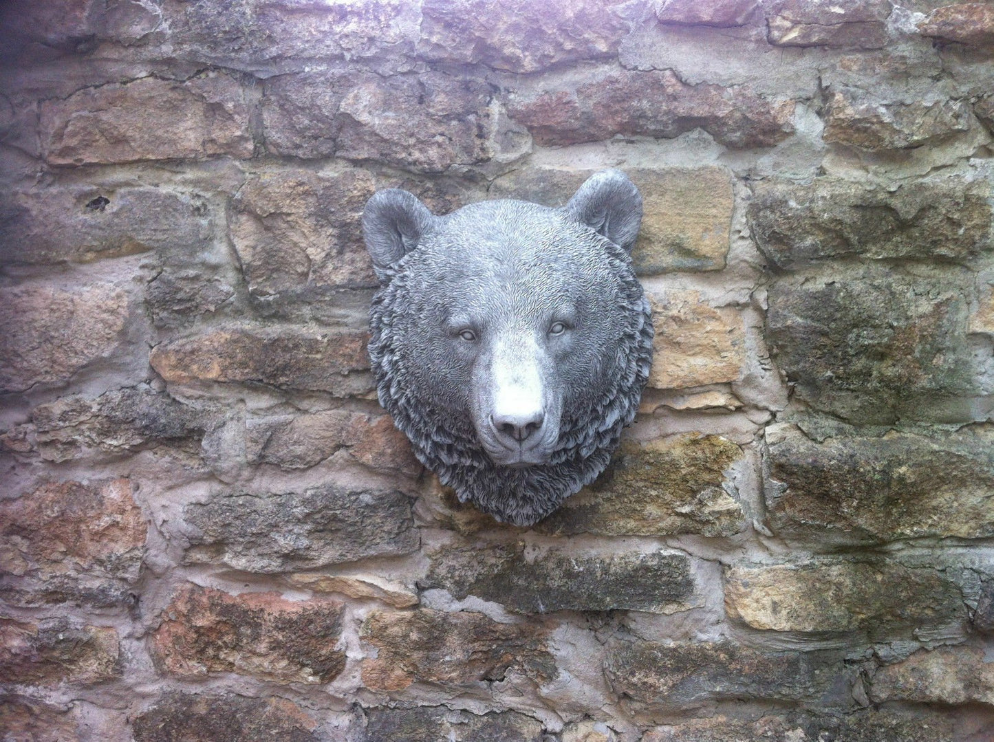 Large Wall Mounted Bear Head - Backyard Bliss