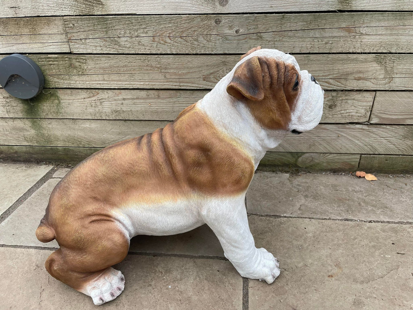 Life Size Johnson Bulldog - Backyard Bliss