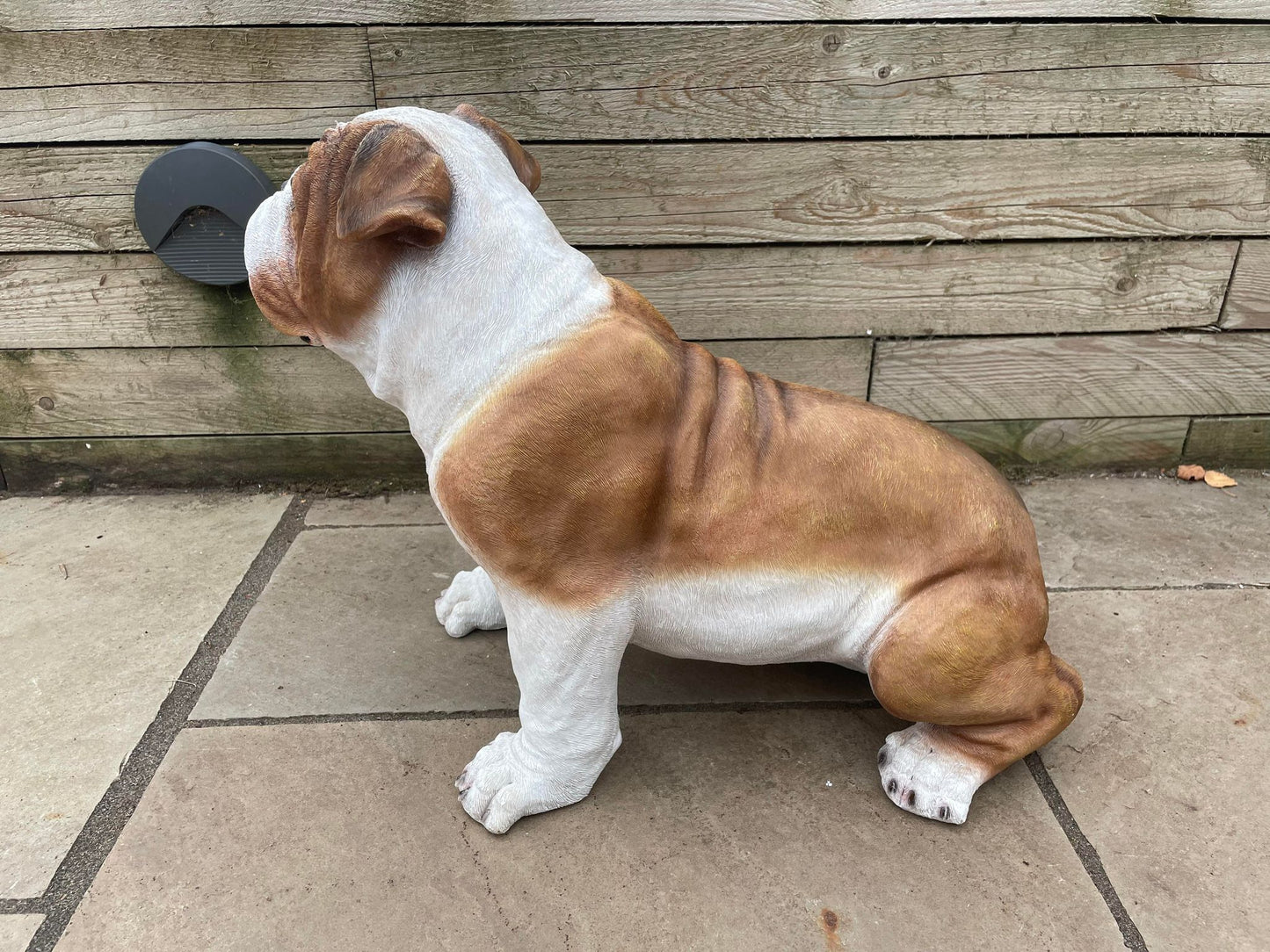 Life Size Johnson Bulldog - Backyard Bliss