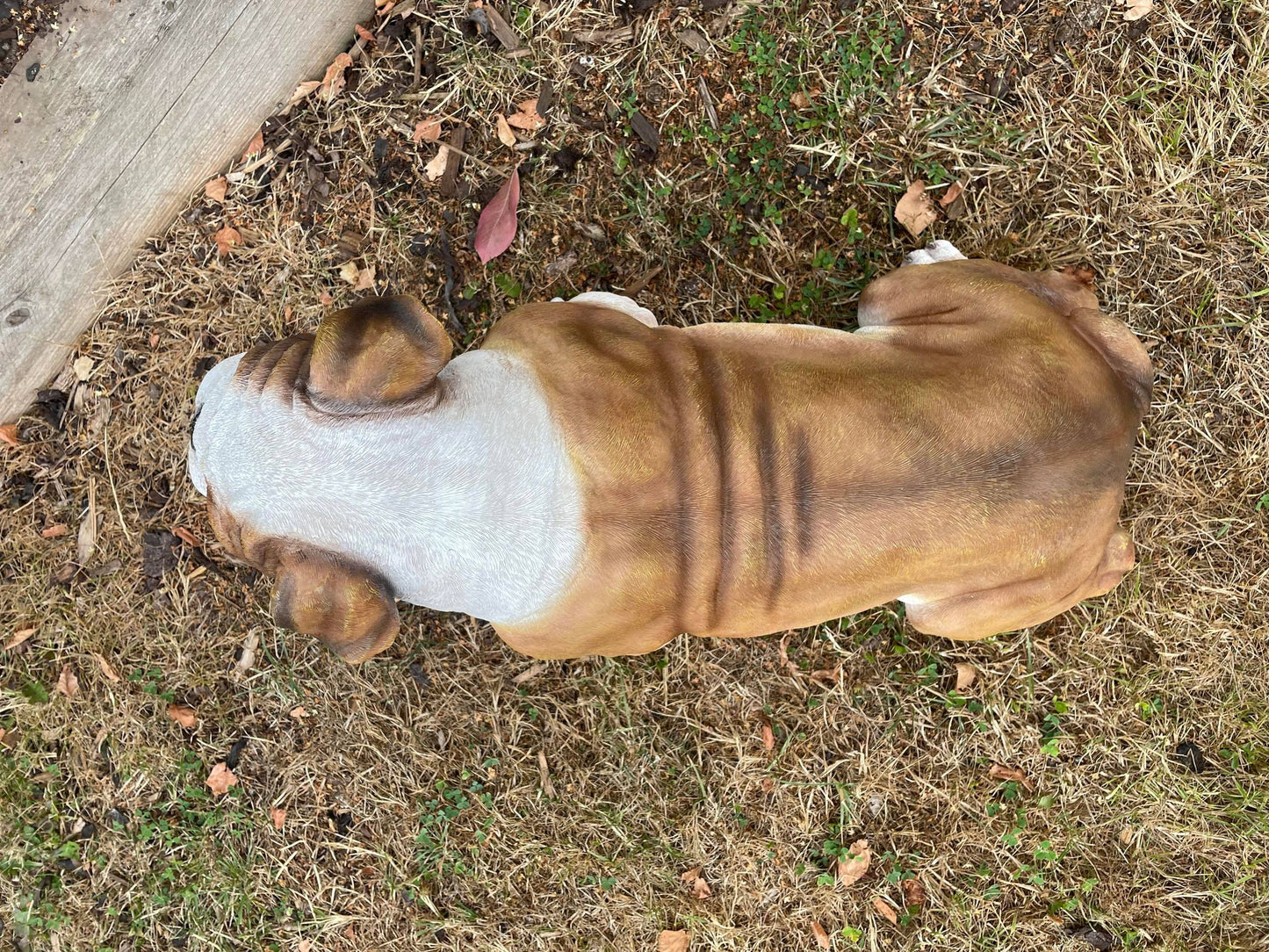 Life Size Johnson Bulldog - Backyard Bliss