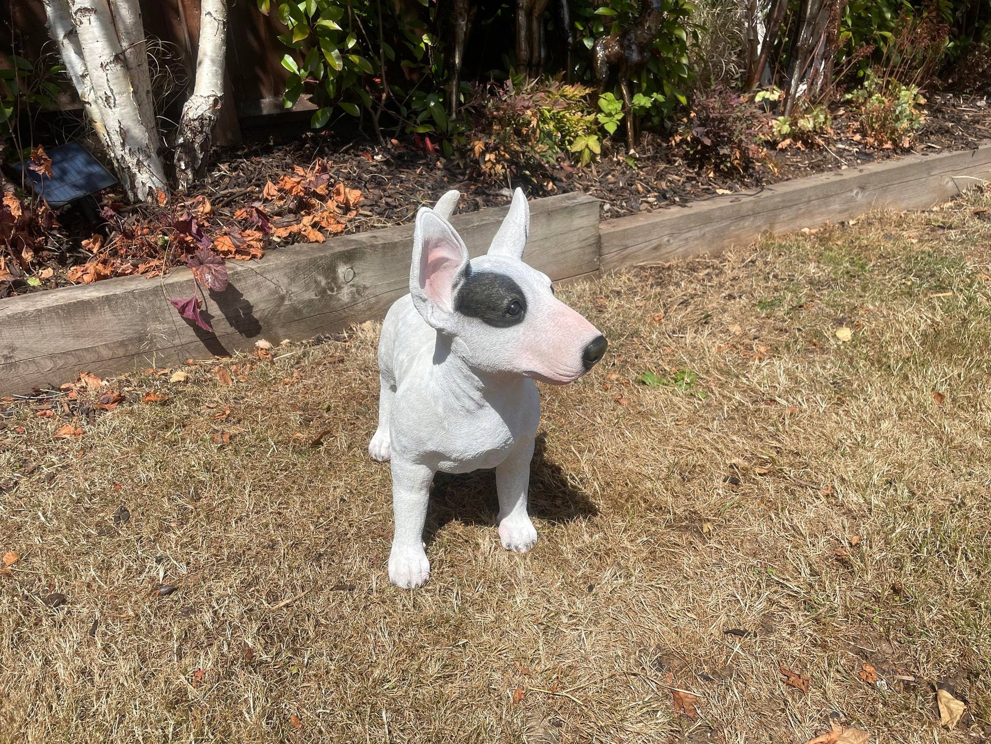 Life - Size Standing Bull Terrier - Backyard Bliss