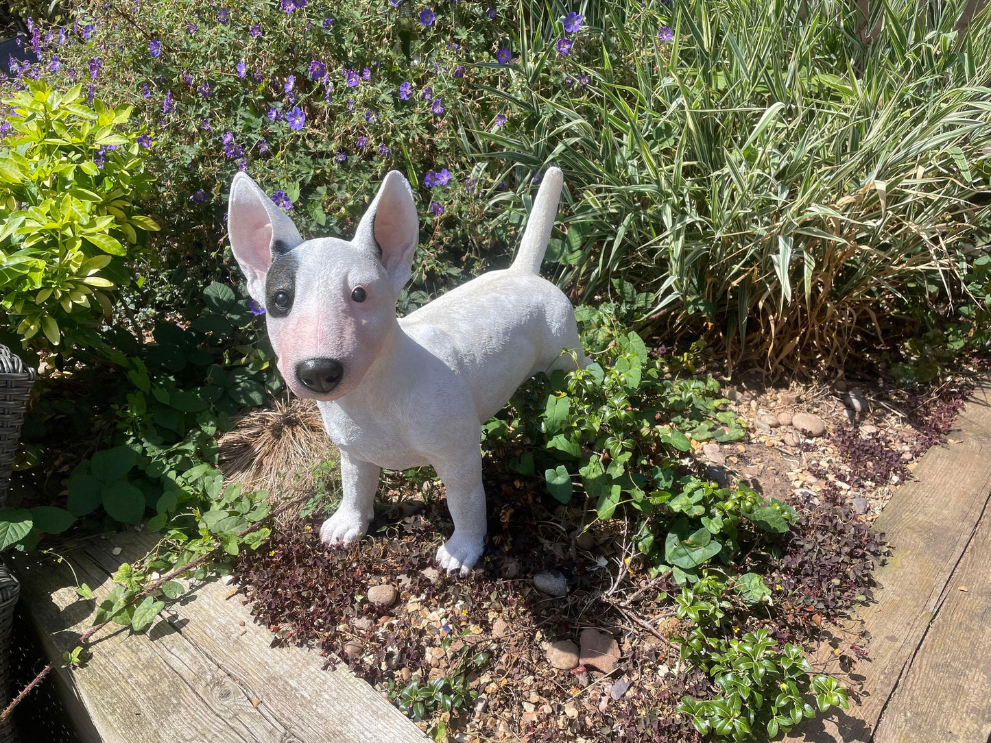 Life - Size Standing Bull Terrier - Backyard Bliss