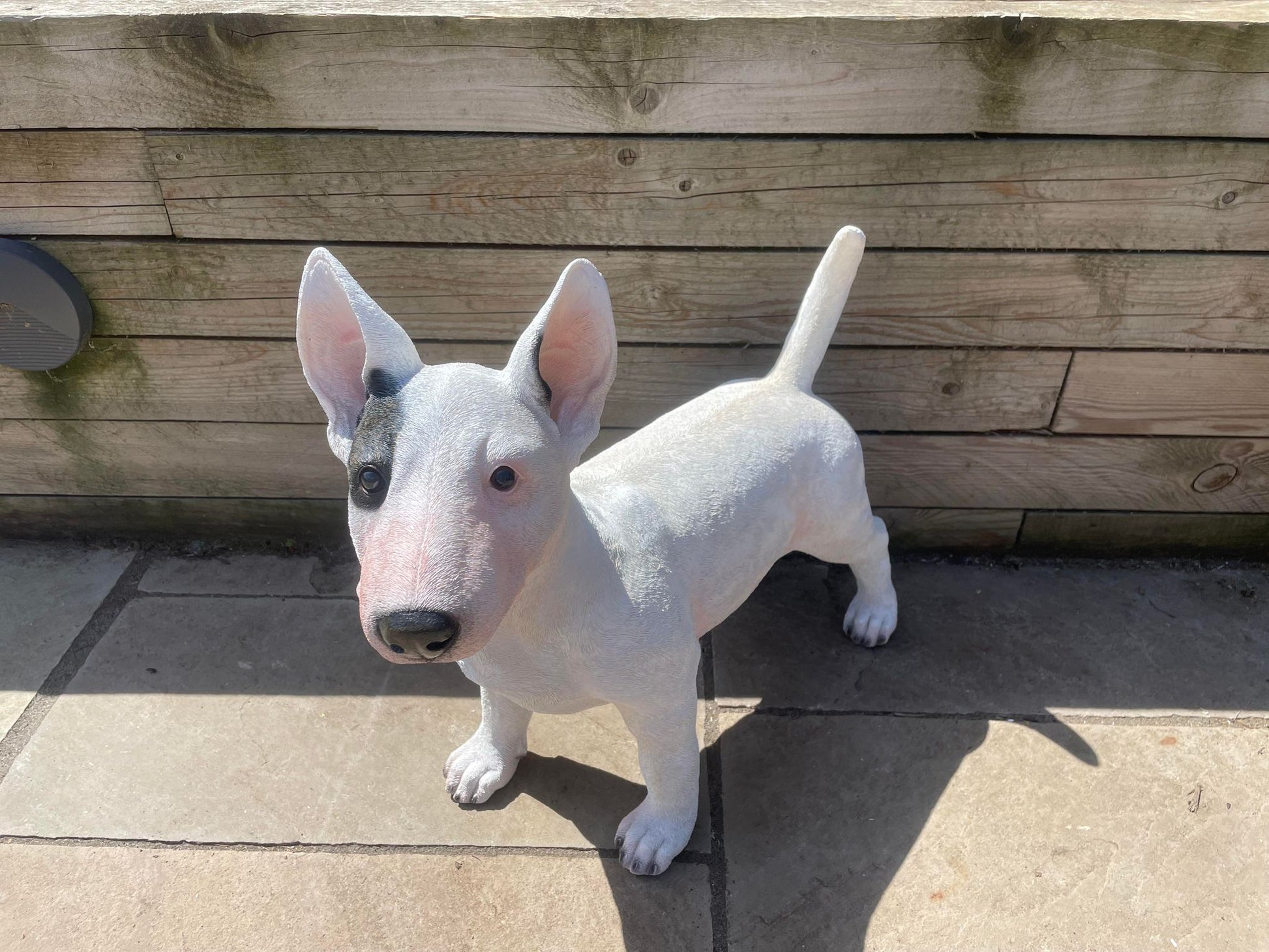 Life - Size Standing Bull Terrier - Backyard Bliss