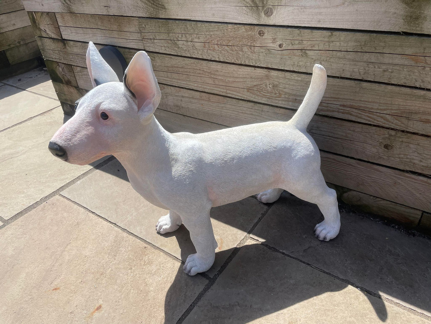 Life - Size Standing Bull Terrier - Backyard Bliss